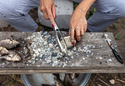 Close de mãos femininas descamando peixes sobre uma tábua