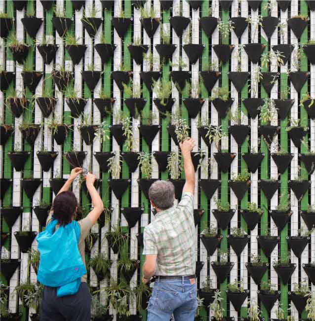 Pessoas plantando mudas em uma parede verde