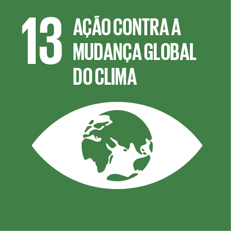 Logo do ODS13. Um desenho em formato de olho onde a íris é formada pelo planeta Terra