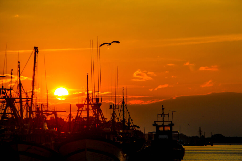 Foto de parte do Porto de Rio Grande. Muitos barcos parados no canto esquerdo da foto; ao fundo, o sol no final da tarde, quase se pondo, fazendo com que o céu fique numa mistura de cores: alaranjado , avermelhado e amarelo. Um pássaro sobrevoa os barcos.