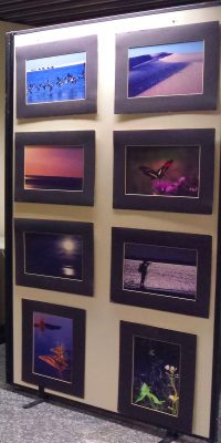 Parede com 8 quadros, posicionados em duas colunas . Nos quadros há paisagens de pássaros voando rente a águas de um lago/praia (quadro 1); dunas de praia (quadro 2); céu alaranjado /rosado com mar embaixo (quadro 3);. Uma borboleta de asas pretas e vermelhas em uma flor rosa (quadro 4); sol e mar (quadro 5); águas de um lago, rio ou mar com uma pessoa observando (quadro 6); rio / lago azul (quadro 7); planta/flor delicada (quadro 8).