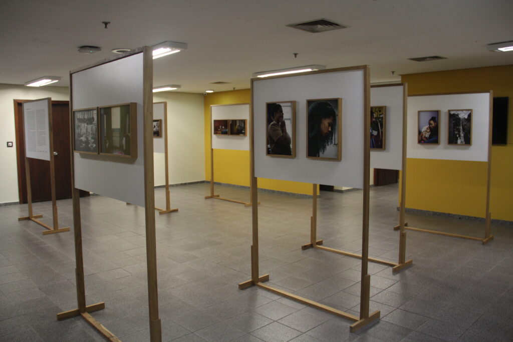 Uma série de painéis expondo pinturas emolduradas.