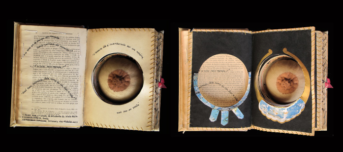 Arte elaborada pela artista Clara Figueira , duas imagens de uma mesmo livro : na primeira foto, o livro aberto mostra à esquerda uma página amarelada cujo conteúdo remete ao Manual do Código Civil Brasileiro ; sobre esta página há trechos de poema escritos à mão: "...e os seios que se elevam suavemente como colinas do paraíso " (...) "...é a cura, seio moreno..." (....) "Qual taça inclinada, dele como do céu, flui a vida"... Na outra página, há um recorte redondo e dentro uma arte em forma de seios; ao redor está escrito "O tesouro não é inventariado por um notário, mas por um poeta." Na segunda foto , a página foi virada, e as páginas atuais são escuras sem escritos, mas com detalhes de recortes em cor azul em volta do “furo” onde fica a arte do seio.