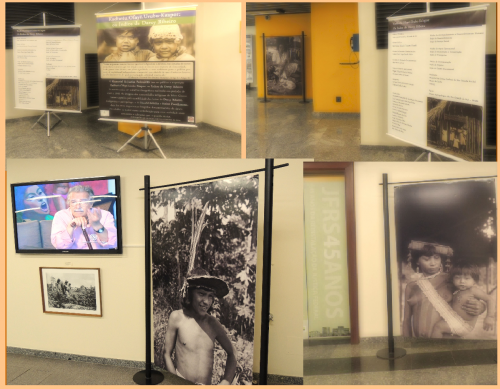Montagem de fotos: 4 fotos de banners com textos explicativos e fotos de índios. Em uma das fotos há uma tela de TV com a imagem de Darcy Ribeiro.