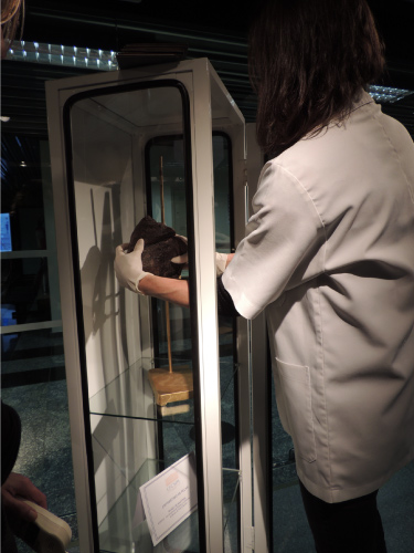 Mulher colocando dentro de um expositor (de vidro com cerca de 140 cm de altura) um pulmão danificado de um falecido - que era fumante.